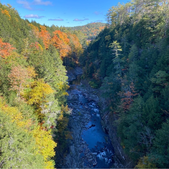 Meet your Posher, Jacqueline - Picture 9 of 12